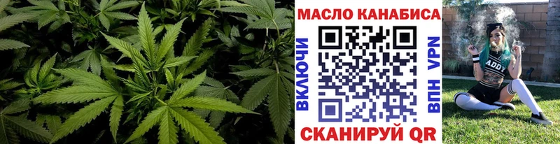дарнет шоп  Агидель  Дистиллят ТГК THC oil 